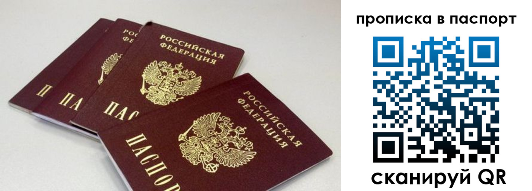 найти адрес прописки в Санкт-Петербурге